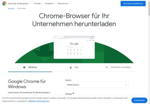 Google Chrome 