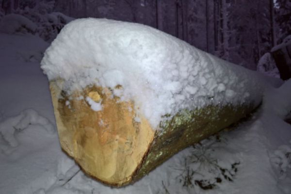 Winterweihnachtswochenende der Sparkle Devils in Meyersgrund 2017 am Sa. 16.12.2017 (57)