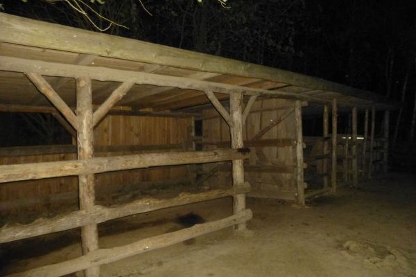 Line-Dance-Weekend vom 25. bis 27.04.2014 in Pullman City Harz