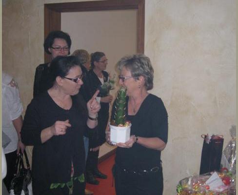 27.12.2011 Playback Show der Sparkle-Devils zu Petras 50. Geburtstag