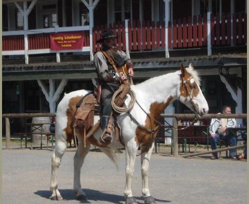 30.04.2011 - Pullmancity Harz Linedanceweekend