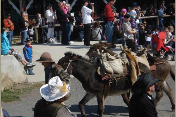 30.04.2011 - Pullmancity Harz Linedanceweekend