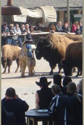 30.04.2011 - Pullmancity Harz Linedanceweekend