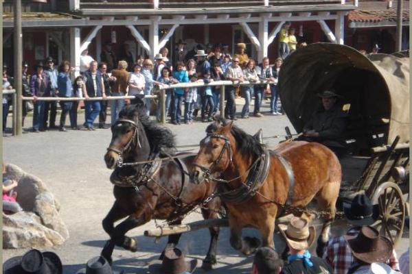 30.04.2011 - Pullmancity Harz Linedanceweekend